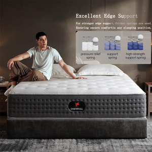 Colchón COSTFULL de Lujo, Tamaño Queen de 10 Pulgadas, Sistema Híbrido de Resortes Ensacados, Espuma Viscoelástica Refrescante, Compresión, para Escuela y Hospital - Product Image 1