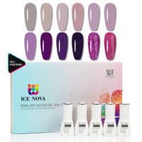 Ensemble de vernis gel ICE NOVA couleur violet, nouvelle tendance, sans HEMA, OEM/ODM, ensemble de vernis gel tendance, couleurs de gel solide pour nail art