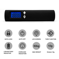 Balance de bagages numérique avec lampe torche intégrée, capacité 50 kg/10 g, balance électronique pour valise, sac de voyage, bagages