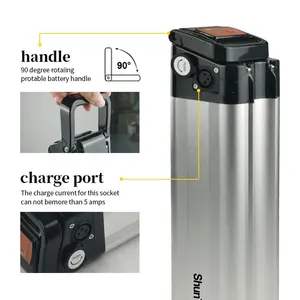 24V Silver Fish Lithium Ebike Battery 18650 Li-ion Battery Pack With Charger For 250W 300W 500W Motor