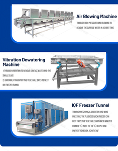 Máquina de Congelación Rápida para Frutas, Brócoli, Tomate, <span class=keywords><strong>Zanahoria</strong></span>, Gomitas y Otros Productos - Product Image 5