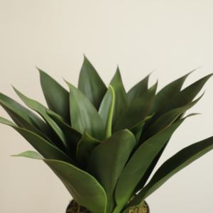 Pianta Artificiale di Aloe Vera in Vaso Konda, Bonsai Decorativo, Pianta Verde in Plastica per Interni con Vaso Bonsai - Product Image 2