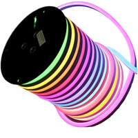 Bande lumineuse LED intelligente étanche IP67 avec télécommande, 24V SPI, couleurs magiques RGBIC, tube flexible néon, CRI 90 élevé, dimmable, pour extérieur