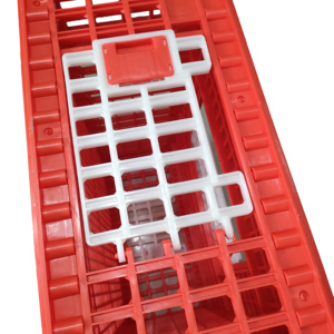 Thùng Vận Chuyển Gia Cầm Sống 75*55*29Cm Lồng Nhựa Giữ 10-12 Con Gà Trưởng Thành Có Cửa Trượt Để Chuyển Động Vật - Product Image 5