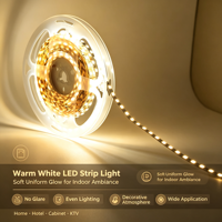 Bandes lumineuses LED flexibles personnalisées 12V 120 LED 240 LED 5M/rouleau SMD 2835 Bande lumineuse LED pour éclairage intérieur