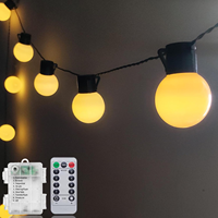 Guirlande lumineuse à LED en forme de boules de verre, alimentée par piles, lumières de Noël, pour chambre à coucher, camping, arbre de Noël, éclairage festif, lumières décoratives