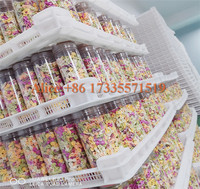 Machine de pressage de pâtes fessiquine, 20 kg, 30kg, fyli en spirale