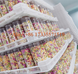 Fettuccine เครื่องอัดพาสต้า,เครื่องทำพาสต้าเกลียว <span class=keywords><strong>Fusilli</strong></span> 30กก./เครื่องทำพาสต้า - Product Image 4