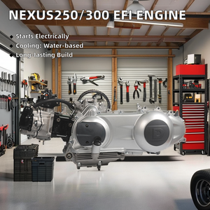 <span class=keywords><strong>Zongshen</strong></span> Nexus250/<span class=keywords><strong>300</strong></span>(EFI) motos électriques d'allumage CDI monocylindre à 4 temps avec démarrage à l'état neuf - Product Image 3
