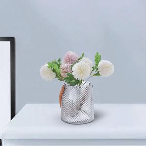 Vase <span class=keywords><strong>en</strong></span> <span class=keywords><strong>verre</strong></span> avec corde de suspension, hauteur du vase <span class=keywords><strong>en</strong></span> <span class=keywords><strong>verre</strong></span> - Product Image 2