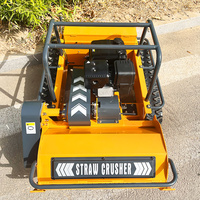 Tondeuse à bobine télécommandée avec 800/1000/1200mm Robot Chopper Débroussailleuse DIY Grade Essence/Diesel Moteur sans fil pour les propriétaires d'animaux domestiques