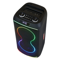 Diamant OEM Offre Spéciale Double 8 pouces TWS BT Haut-parleur de fête Haut-parleur portable mobile extérieur Haut-parleur Bluetooth sans fil étanche