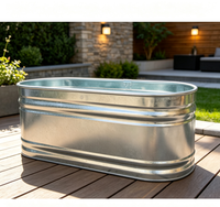 Baignoire Métallique Intégrale pour Jardin, Cour et Patio, Résistante aux Intempéries, Revêtement Anti-rouille, Idéale pour les Amateurs de Loisirs à Domicile