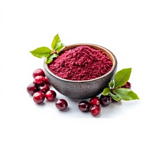 Poudre d'extrait de canneberge de haute pureté (extraction par solvant) pour usage industriel, aliments fonctionnels, boissons, formulations cosmétiques - Product Image 1