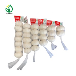 Ail frais comme marque <span class=keywords><strong>TIMA</strong></span> 10 kg/boîte 5.0/5.5cm exportation vers le marché du Sénégal - Product Image 1