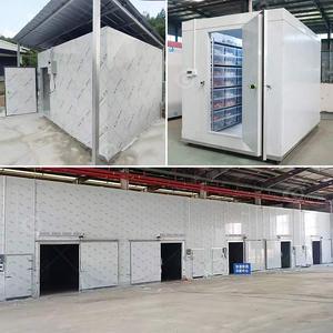 Chambre Froide Modulaire Conteneurisée pour Congélation de Tomates et Poissons Frais, Système de Stockage Réfrigéré pour Aliments, Fabriqué en Chine - Product Image 2