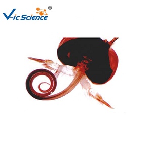 Chuẩn bị Slide chuẩn bị Kính hiển vi Slide phòng thí nghiệm giáo dục Slide nghiên cứu kính hiển vi - Product Image 5