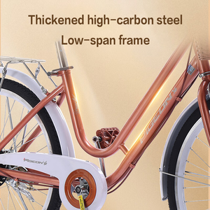 Bicicletta da città classica da <span class=keywords><strong>donna</strong></span> con telaio in acciaio da 24/26 pollici, monovelocità, disponibile all'ingrosso per spedizione rapida - Product Image 6