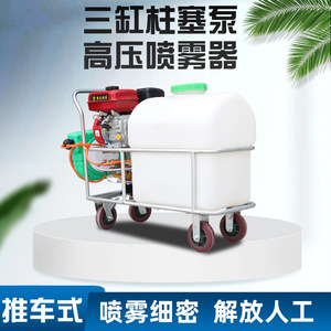 Hand Push <b>Sprayer</b> Farm Use 980mm Length Gas Engine Pump Agricultural <b>Sprayers</b> High Productivity - Product Image 4