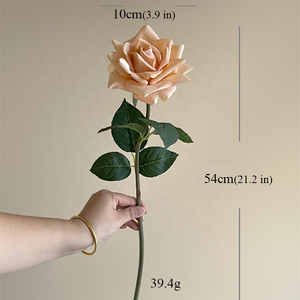 Nuovi Arrivi: Fiori Artificiali di Rosa Popolari, Effetto Realistico in Lattice, Rosa Polveroso Vintage per Matrimoni, Vendita all'Ingrosso - Product Image 3