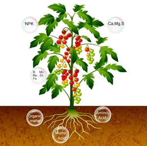 Топ-Завод прямых продаж органических удобрений с самой низкой ценой - Product Image 2