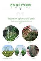 Cage à tomates carrée moderne et classique en fer émaillé auto-arrosante, écologique et durable, pour jardin, vente en gros, direct usine MQ