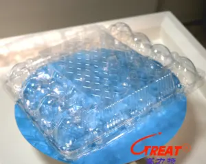20 Large Eggs of Hen Ducks Plastic Packaging Clamshell Disposable Tray Container for wholesale