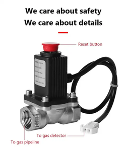 Wholesale DC Emergency Relay <strong>Valve</strong> Shut Off <strong>LPG</strong> Safety 12V Gas Solenoid <strong>Valve</strong> - Product Image 4