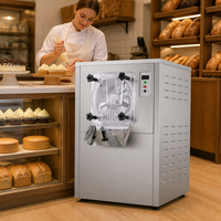 Machine à glace dure professionnelle pour comptoir de desserts de salon de thé, machine à gelato pour chaînes de cafés et magasins en franchise