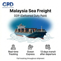 Fret maritime de Malaisie DDP avec dédouanement bidirectionnel, taxes incluses et suivi en temps réel pour un service porte-à-porte