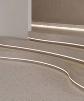 Tube en silicone noir LED néon lumière Flexible corde canal diffuseur WS2811 WS2812B extérieur étanche ruban bande lumières