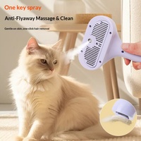 Brosse de toilettage portable en plastique pour animaux de compagnie, anti-poils volants, avec pulvérisation de vapeur, pour chats et chiens