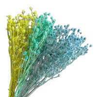 Bouquet de fleurs séchées naturelles Jequirity Bean et Gipsofila pour la maison, les mariages, les remises de diplômes et les décorations de Noël - Nouveauté 2026, Vente Flash