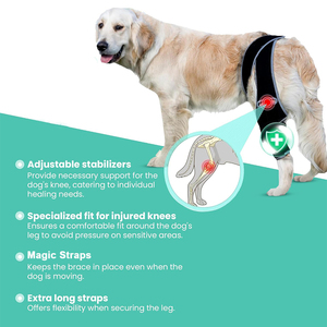 Soporte de Rodilla para Perros Mayores, Envolturas de Compresión para Articulaciones con LCA Rota, Soporte para Patas Traseras de Mascotas - Product Image 6