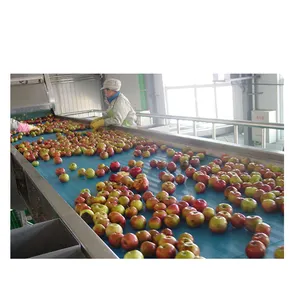 Machine industrielle de fabrication de canne à sucre banane avocat gingembre oignon mangue ligne de traitement des fruits