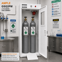 Armoire pour bouteilles de gaz, 2 cylindres, blanche, ventilée, en acier, stockage personnalisé OEM ODM pour laboratoire, école, usine, entrepôt, B2B