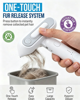 Petite brosse anti-poils pour chats et chiens, outil de toilettage 2-en-1 avec brumisateur, pour l'élimination du sous-poil, antistatique, pliable, en acier inoxydable