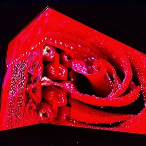 Xách tay P4 <span class=keywords><strong>LED</strong></span> màn hình hiển thị cho ngoài trời quảng cáo kỹ thuật số bên ngoài pixel bảng điều chỉnh cho Movie Video & hình ảnh động - Product Image 5