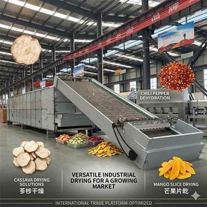 Séchoir mécanique multi-couches <span class=keywords><strong>pour</strong></span> la séchage <span class=keywords><strong>des</strong></span> chips de mangue, de carotte, de manioc, de poivron, de piment et d'abricot - Machine de séchage à vendre - Product Image 1