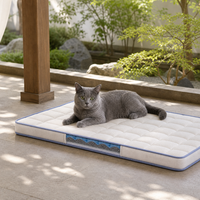 Coussin-lit d'extérieur pour chat avec paroi latérale transparente et bord bleu pâle pour la détente dans la cour ou sur la terrasse