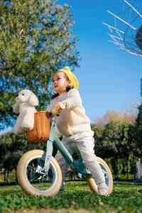 Nouveau modèle 2026 – Vélo d'équilibre pour enfants à cadre en acier / Roues de 12 pouces pour enfants de 3 à 6 ans <span class=keywords><strong>sans</strong></span> pédales - Product Image 3