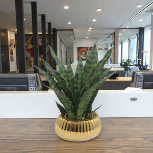 Maceta de planta de serpiente Artificial Tizen, bonsái de plástico de imitación, <span class=keywords><strong>hojas</strong></span> verdes/<span class=keywords><strong>amarillas</strong></span> para el hogar, jardín, decoración de Acción de Gracias, Festival - Product Image 6