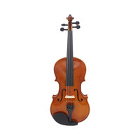 Manufacturer Violin Instrument Basswood Violin 4/4 Beginners to Practice Musical Instrument