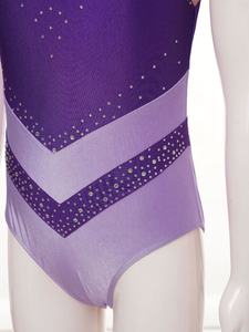 ชุดเต้นเด็ก4-14ชิ้นชุดเต้นรำบนเวทีเด็กผู้หญิงชุดยิมนาสติกลีลาชุดการแสดงขายส่ง - Product Image 3