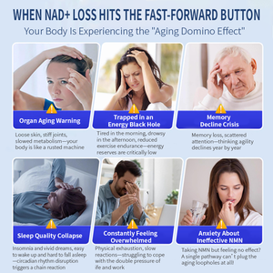 Suplemen Kapsul NAD+ OEM/ODM untuk Wanita, Pendukung Imunitas, Antioksidan, Kualitas Makanan untuk Dewasa - Product Image 5