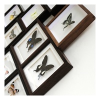 Boutique Noir En Bois Massif Profonde Cadre 10X10CM 15X15CM 20X20CM 25X25CM 3D Carré Papillon Spécimen Cadre