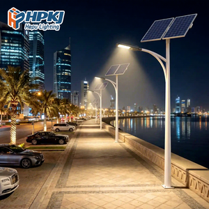 Farola Solar Hepu con Controlador MPPT para Proyectos Viales Gubernamentales - Product Image 1