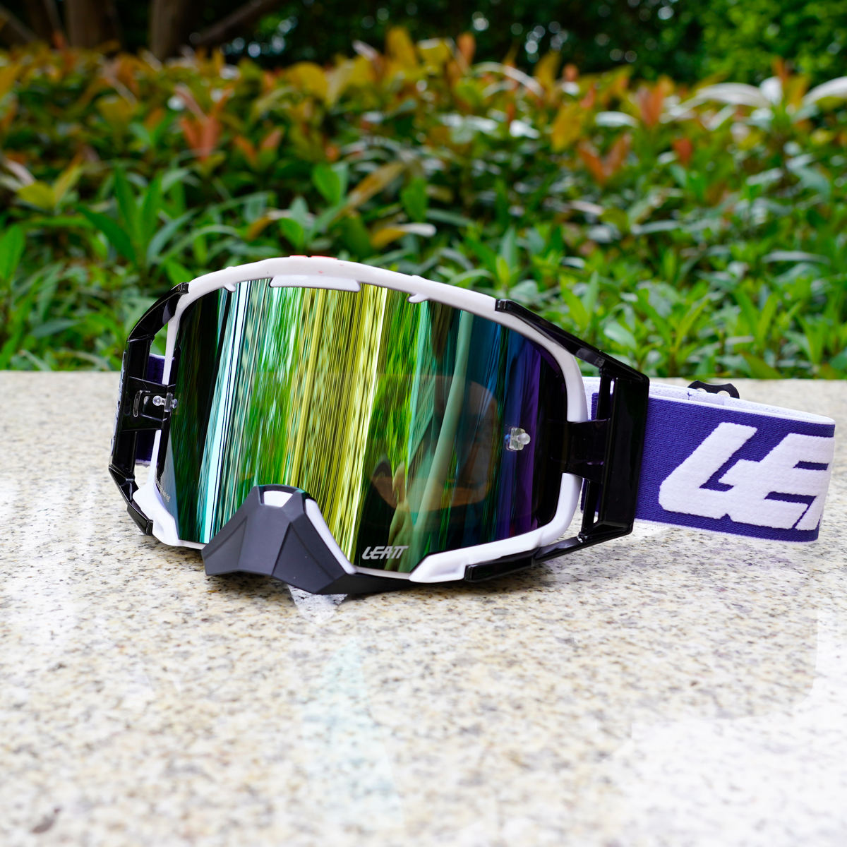 Black White Frame / Gold Lens