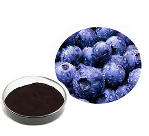 China Factory Natural Anthocyanin Powder natural Bilberry Extract