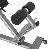 Équipement de musculation de haute qualité, réglable, robuste, durable, en acier tubulaire ovale, sûr, stable, résistant, pour les abdominaux, le dos, l'hyperextension